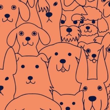 Picture of BC - Animals & Pet Care 8 - 2.5" x 2.5" Double Sided