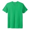 Picture of Next Level Tri-Blend Tee