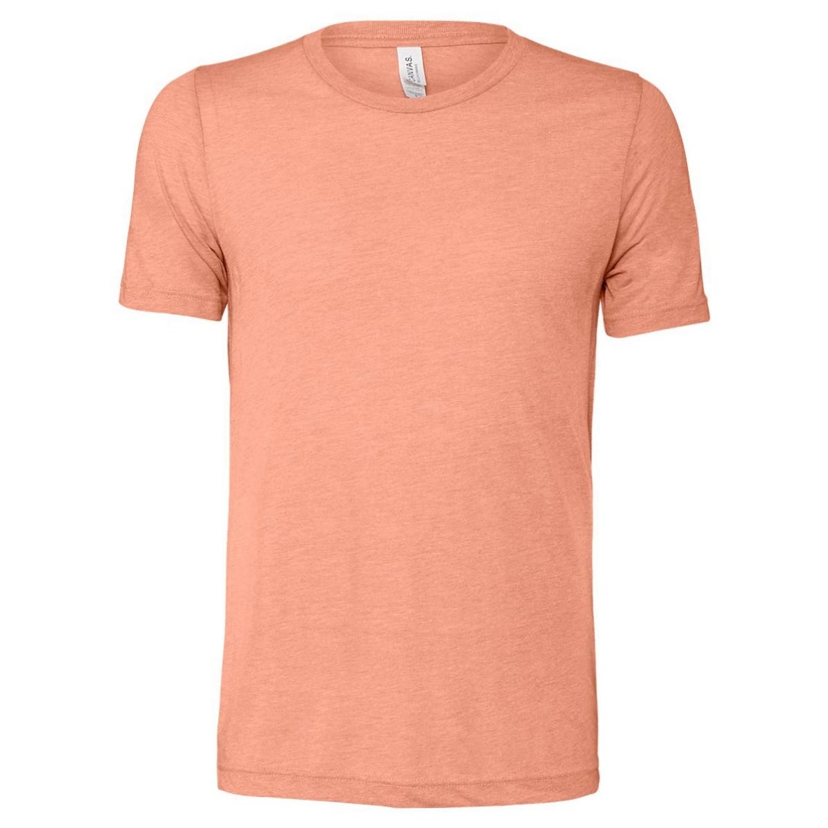 Picture of BELLA + CANVAS Triblend Short Sleeve Tee