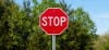 Picture of Stop Signs