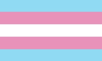 Picture of Trans Pride Flag