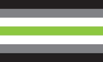 Picture of Agender Pride Flag