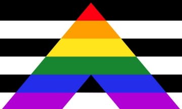 Picture of Straight Ally Pride Flag