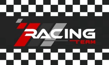 Picture of Sports Flag 3