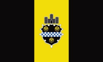 Picture of Pittsburgh, PA Flag