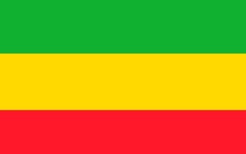 Picture of Novelty Flag 4 - 5x8