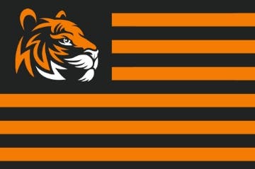 Picture of Sports Flag 4 - 2x3