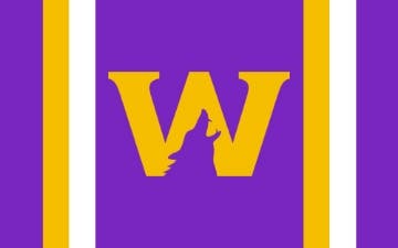 Picture of Sports Flag 5- 5x8