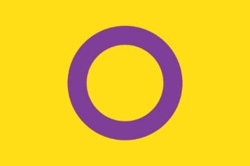 Picture of Intersex Pride Flag- 2x3