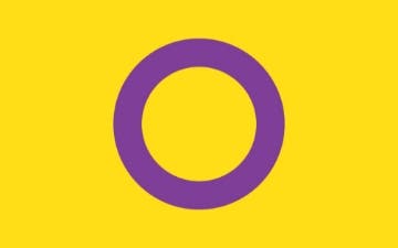 Picture of Intersex Pride Flag- 5x8
