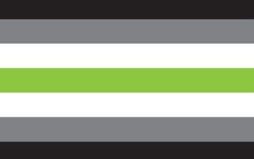 Picture of Agender Pride Flag- 5x8
